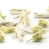 Bio Griechischer Bergtee