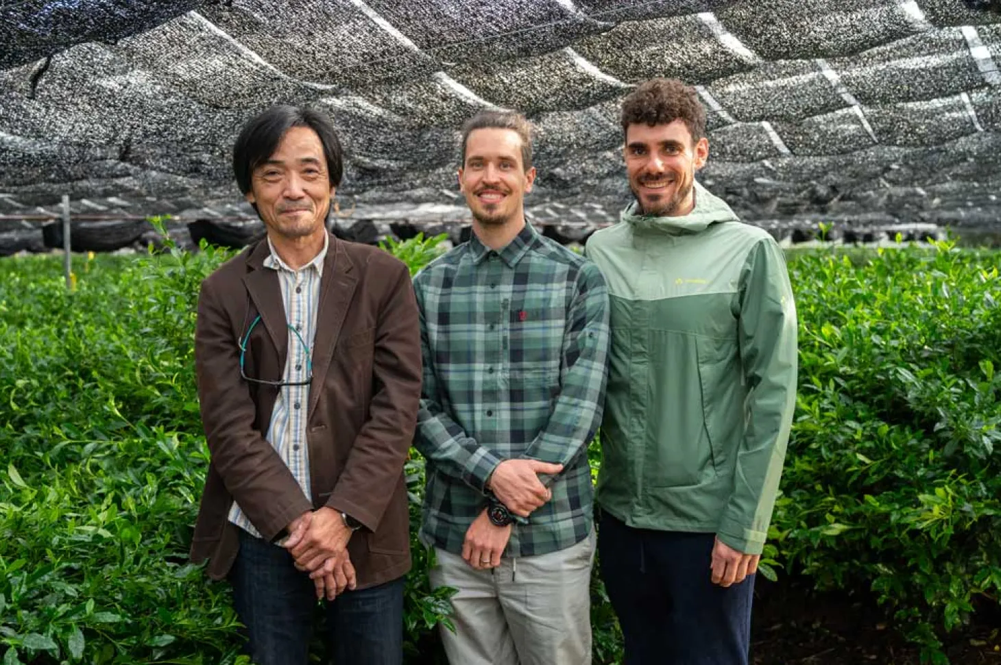 Bio Hanomi Matcha von Nakanishi San