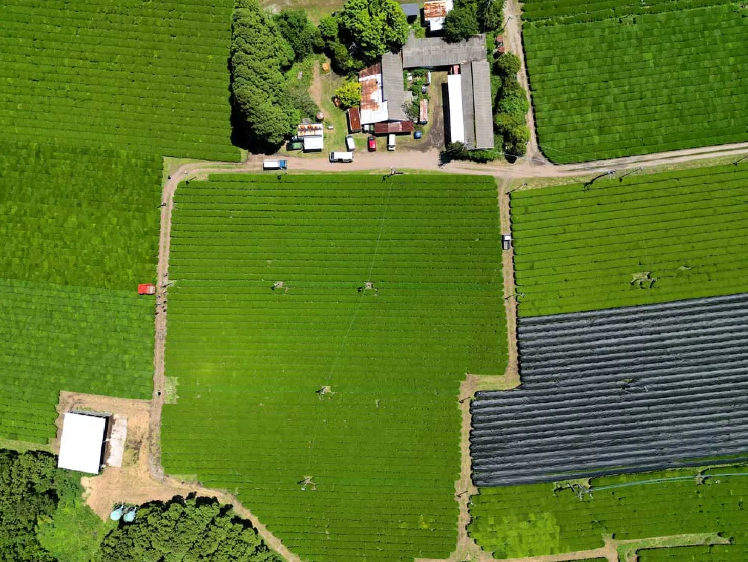Bio Kirishima Miyama Houjicha Pulver
