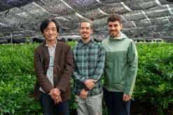 Bio Ryû Uji Matcha von Nakanishi San