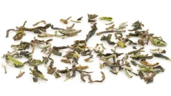 2024 Bio Singell DJ1 Flugtee FTGFOP1 Darjeeling