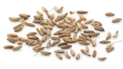 Bitterfenchel Kammware Kräutertee