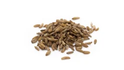 Bitterfenchel Kammware Kräutertee