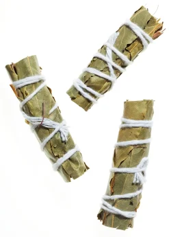 Bouquet Garni - Gewürzstrauß