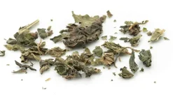 Brennessel Kräutertee