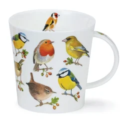 Cairngorm  SONG BIRD BERRIES 0,48L - Dunoon