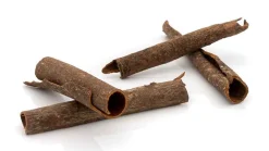 Dalchini Zimtrinde