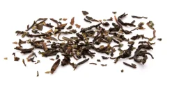 Darjeeling Aktion First Flush FTGFOP