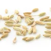 Fenchel grün Kräutertee