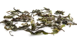 2024 Gielle DJ1 Flugtee FTGFOP1 Darjeeling