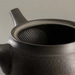 Japankanne (Kyusu) - schwarz strukturiert mit Tonsieb aus Tokoname