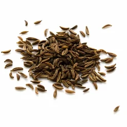 Kümmel