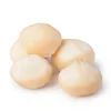 Macadamia Nusskerne - geröstet
