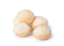 Macadamia Nusskerne - geröstet