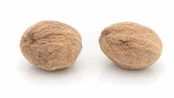 Muskatnuss