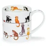 ORKNEY Live Wires Cat 0,35L - Dunoon