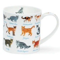*ORKNEY ON THE FARM CATS 0,35L - Dunoon