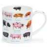 *ORKNEY ON THE FARM PIGS 0,35L - Dunoon