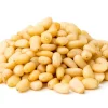 Pinienkerne