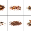 Rooibostee Probierset