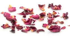 Rosenblütenblätter