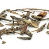 Sencha Vanille Grüntee