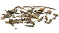Sencha Vanille Grüntee