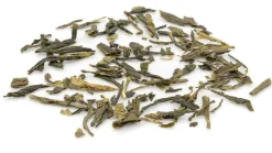Shokoi Sencha Grüntee