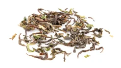 Spring Hill First Flush Darjeeling