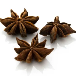 Sternanis
