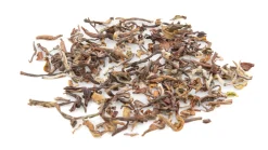 Summer Bloom Second Flush Darjeeling
