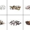 Tee-Vielfalt Probierset