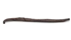 Vanillestange aus Tahiti