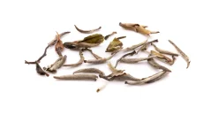 Yin Zhen Silver Needle Weißer Tee